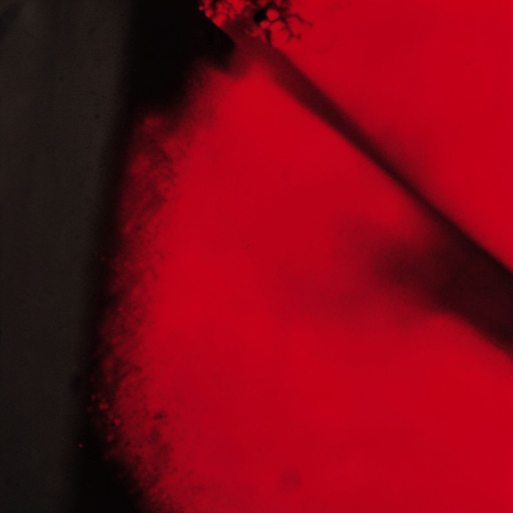 Dramatic crimson-and-black duotone photograph with a sense of mystery and allure