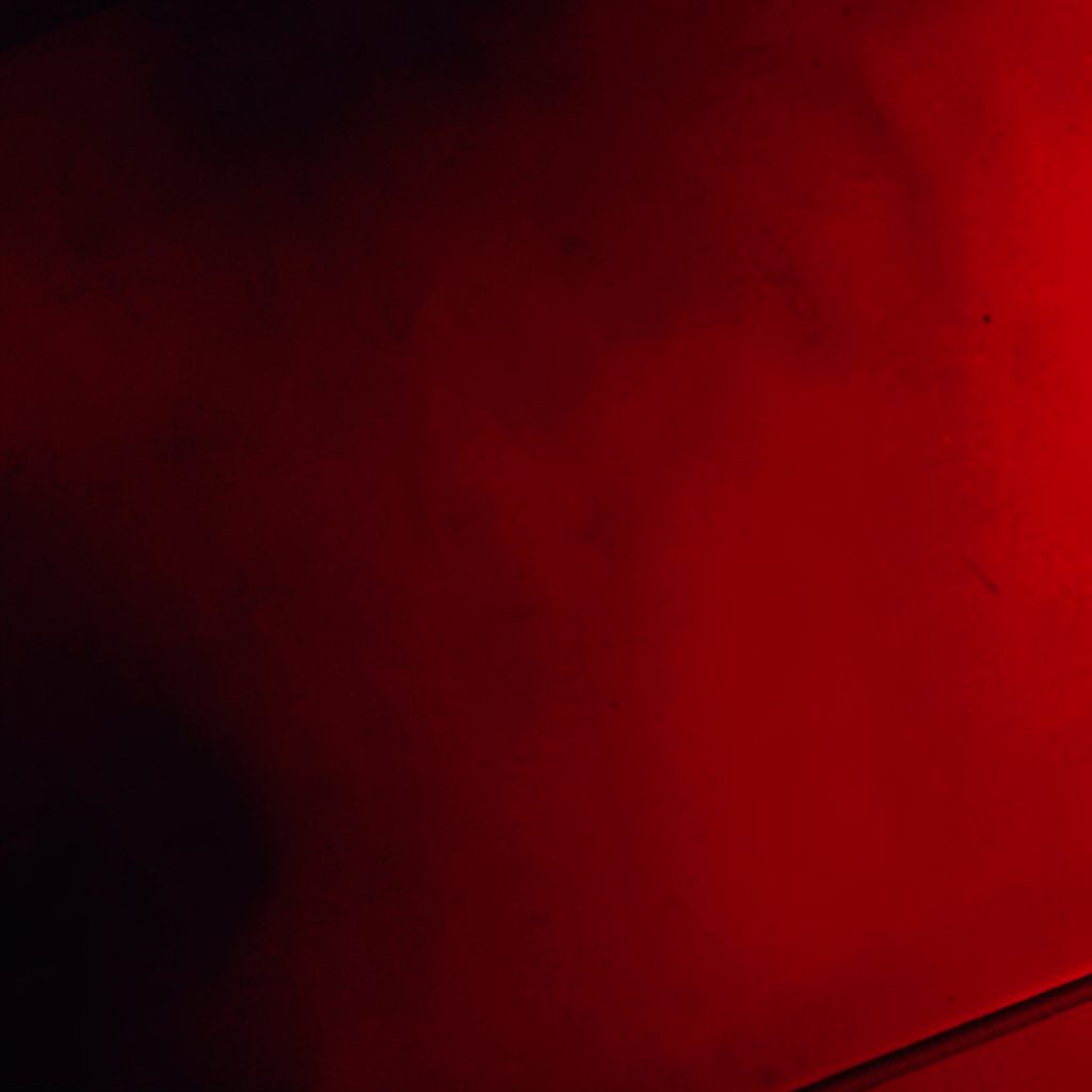 Portrait-style photograph of an artist in a studio setting, warm tones with deep red accents